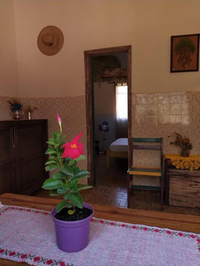 Hostel טיראדנטס מראה חיצוני תמונה