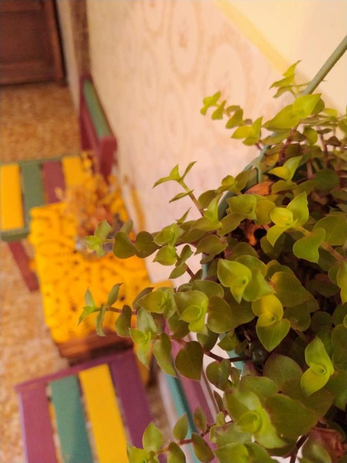 Hostel טיראדנטס מראה חיצוני תמונה